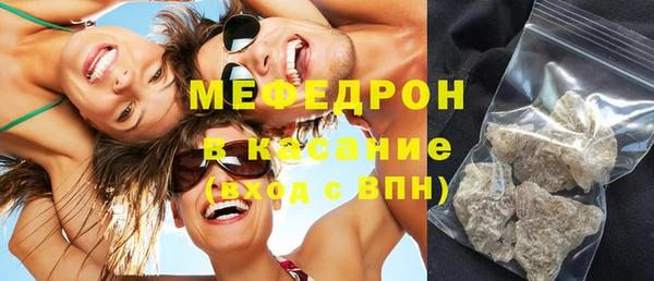 индика Алексин