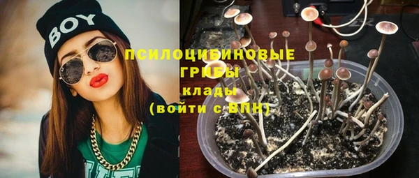 амф Алзамай