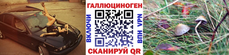 даркнет сайт  Дубовка  Галлюциногенные грибы ЛСД 